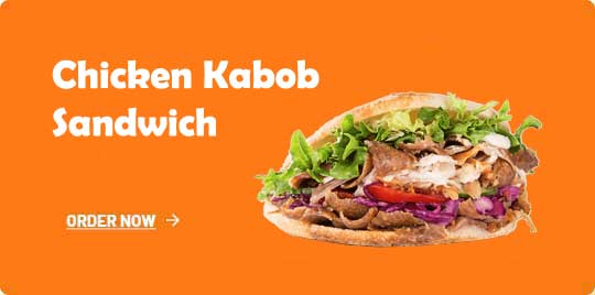 Chicken Kabob Sandwich